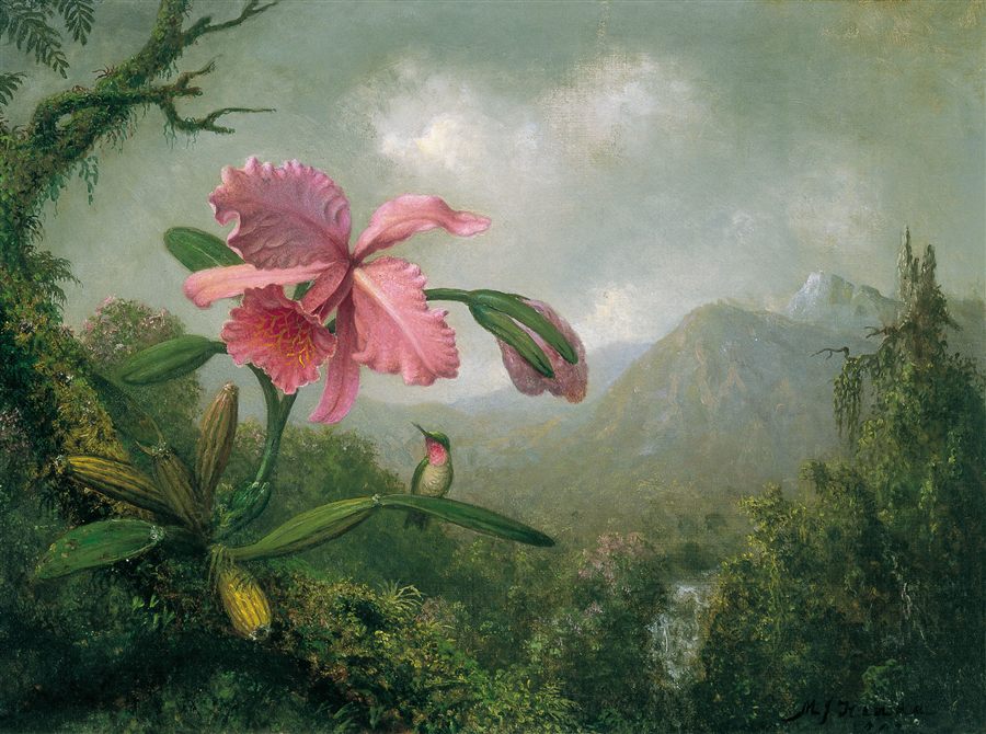 La Serre aux orchidées